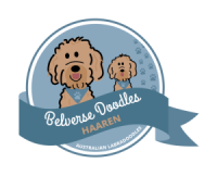 Logo Belverse Doodles